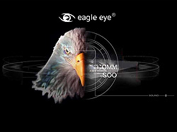   EAGLE EYE